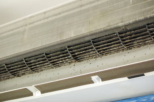 Best Home Air Vent Cleaning  in Williamson, WV