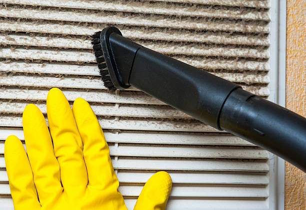 Best Ductwork Cleaning Services  in Williamson, WV